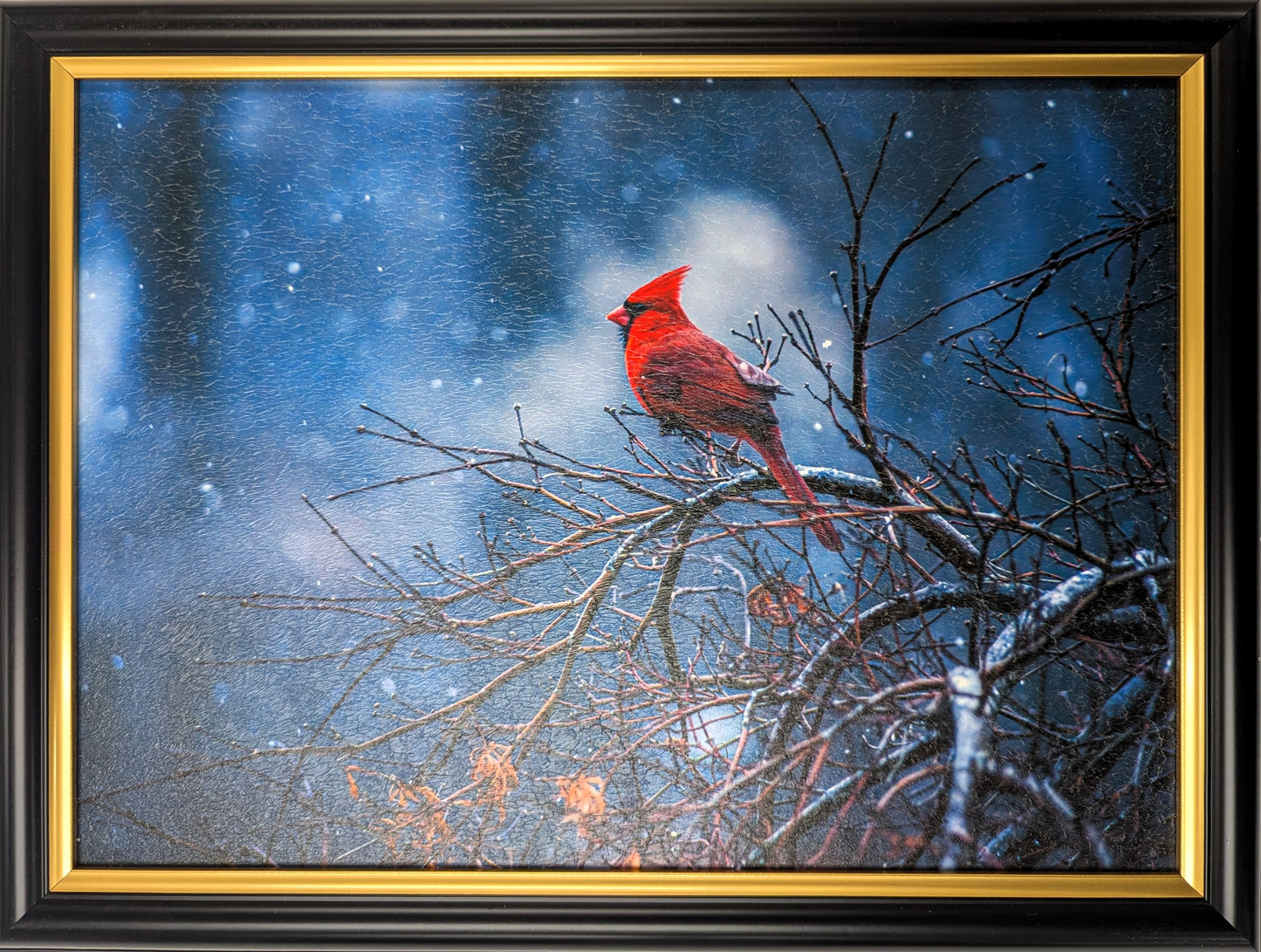Cardinal In Blue - Vintage Wall Art