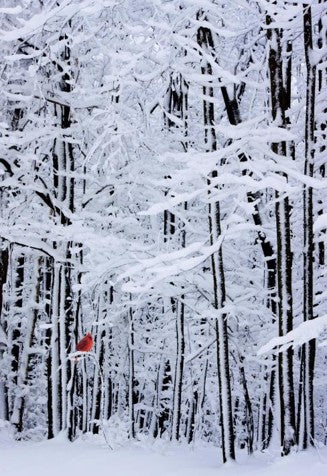 Winter Still – Christmas Wall Art