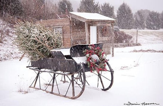 Grandpa's Sleigh – Christmas Wall Art