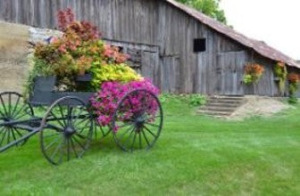 Flower Wagon – Western Wall Art