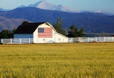 Fields of Freedom - Patriotic Wall Art
