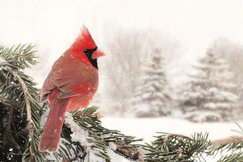 Winter Perch – Christmas Wall Art