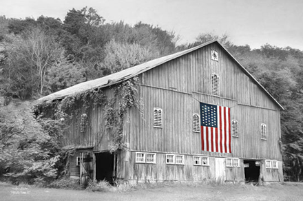 Barn of Liberty - Patriotic Wall Art
