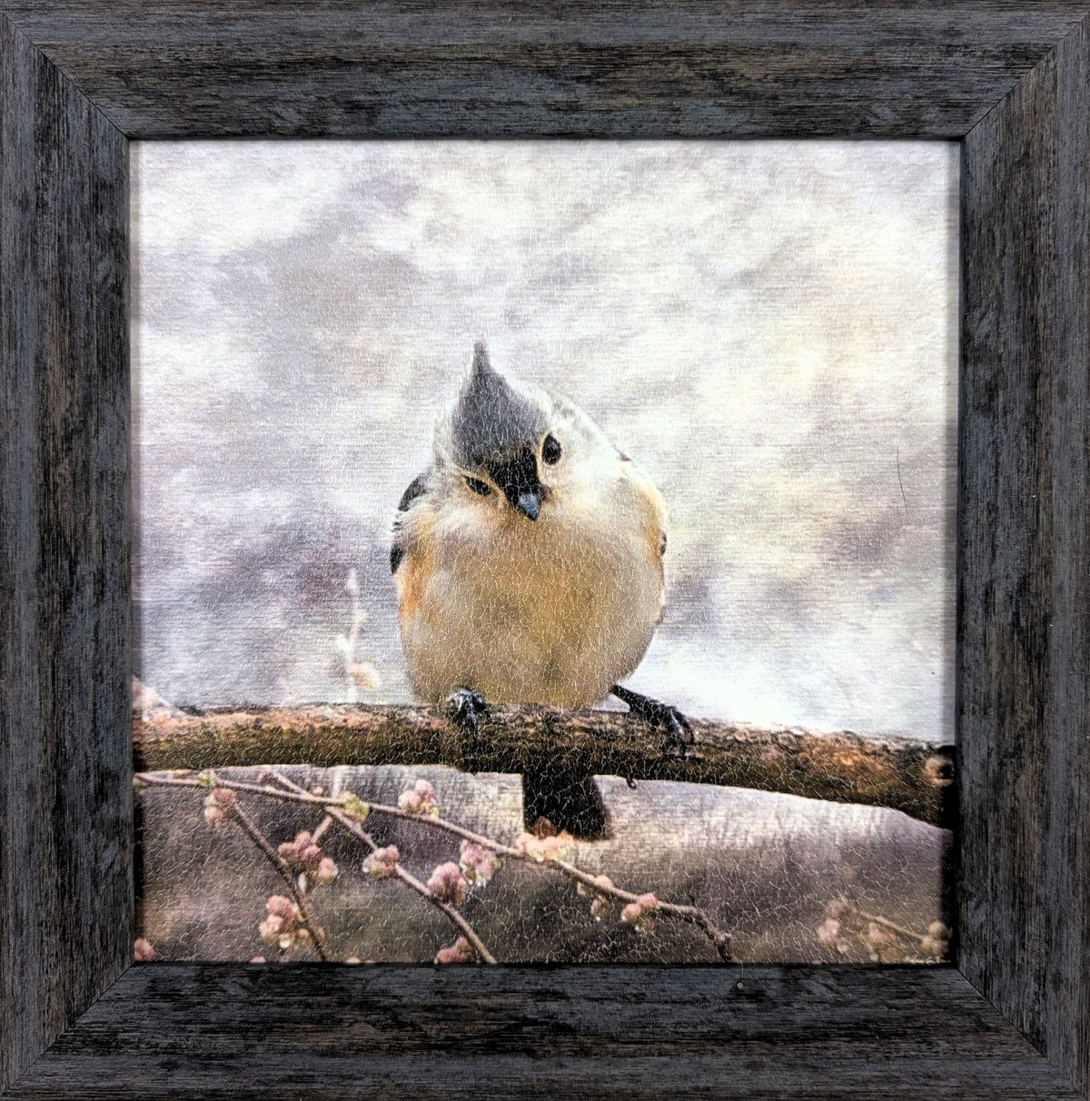 Tufted Titmouse – Holiday Wall Art