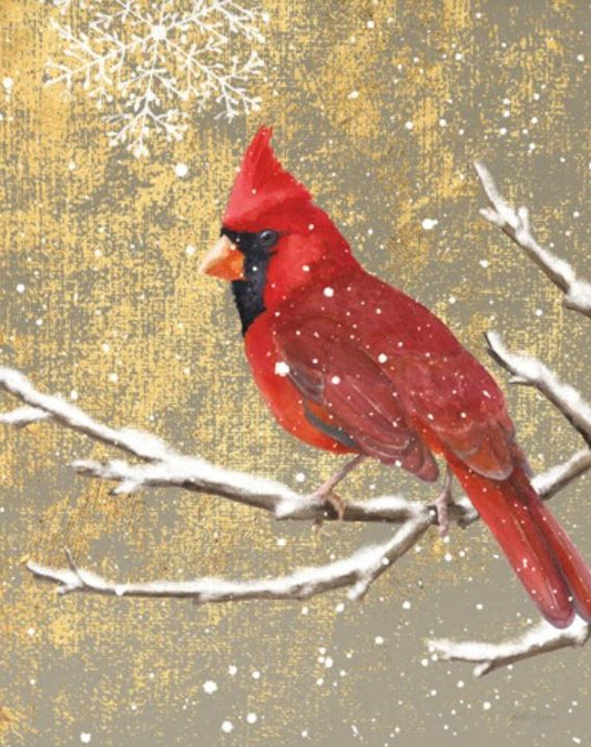 WINTER BIRDS CARDINAL COLOR