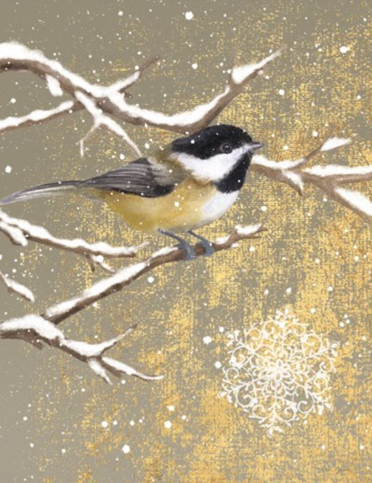 WINTER BIRDS CHICKADEE COLOR