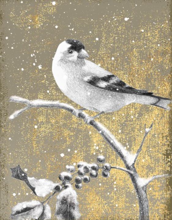 WINTER BIRDS GOLDFINCH NEUTRAL