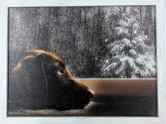 Dreaming of a White Christmas - Christmas Wall Art