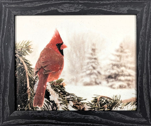 Winter Perch – Christmas Wall Art