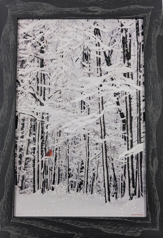 Framed artwork of a snowy forest scene with a black frame.