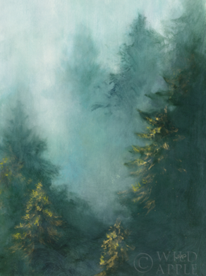 MISTY FOREST IV