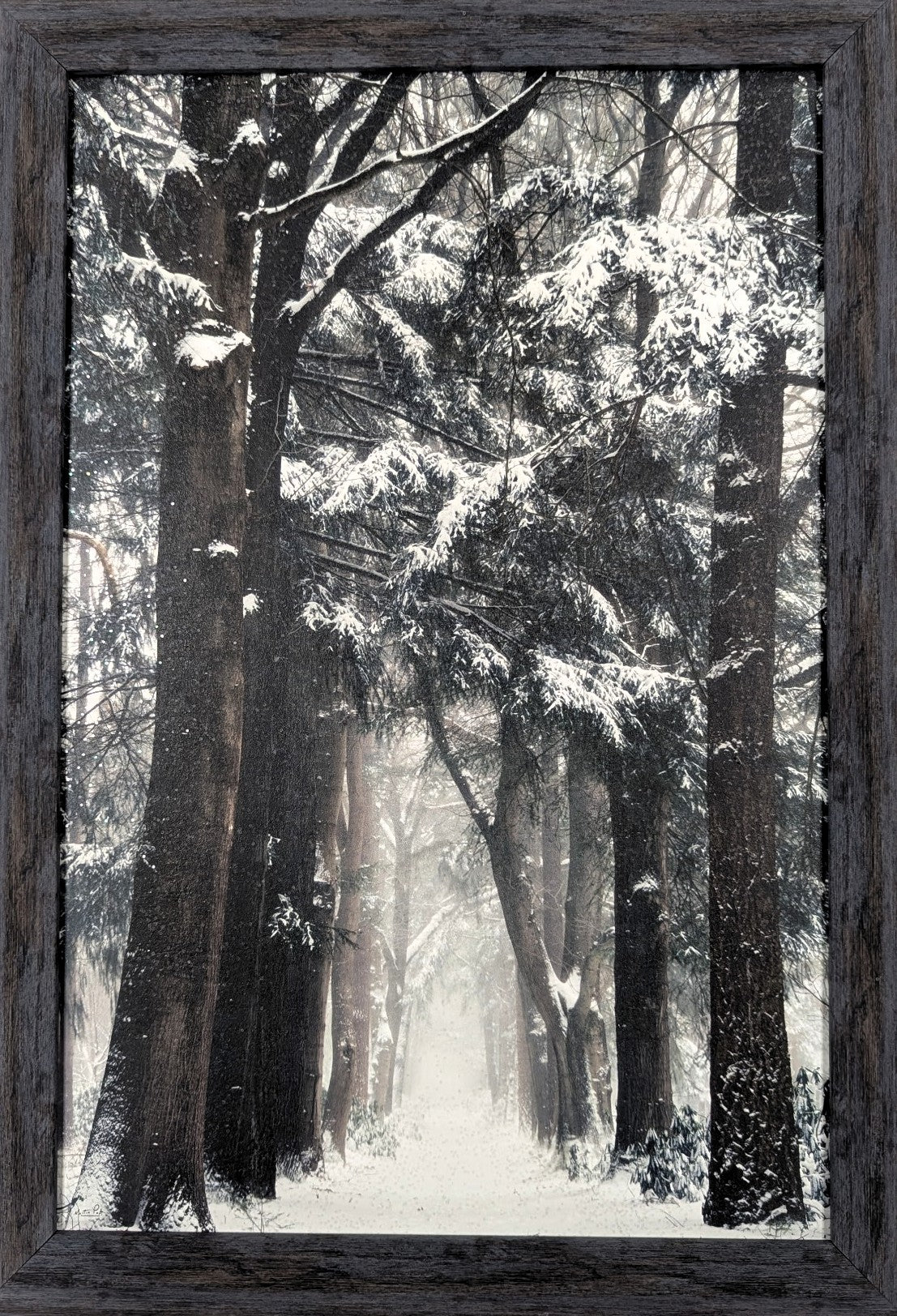 Snowmageddon – Christmas Wall Art