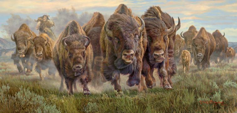 THUNDER ON THE PRARIE (BISON)