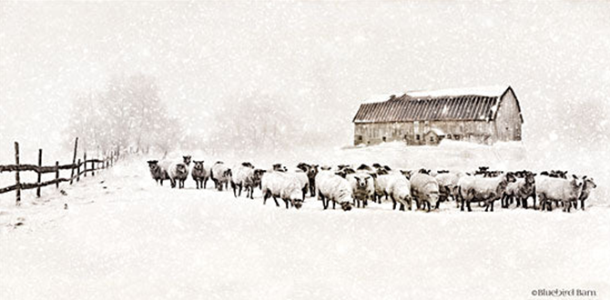 WARM WINTER BARN W SHEEP