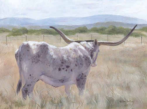 HILL COUNTRY LONGHORN