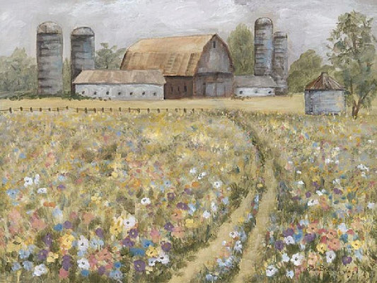 COUNTRY WILDFLOWERS