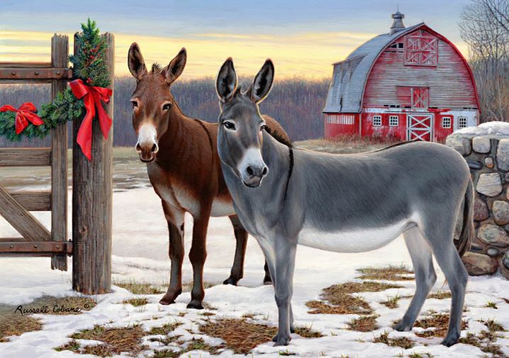 DONKEYS AND BARN