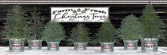 GALVANIZED POTS CHRISTMAS TREES