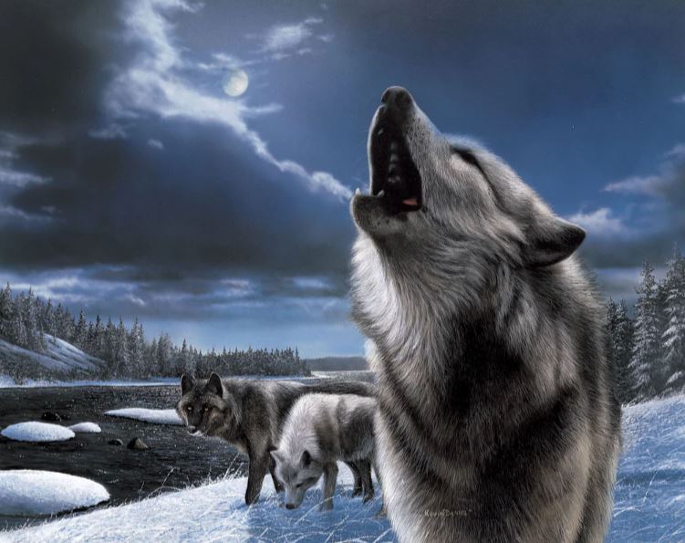 HOWLING WOLF