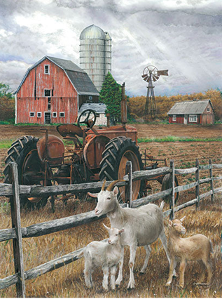 THE TRACTOR AND GOATS