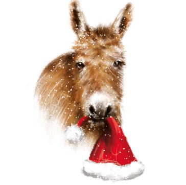 CHRISTMAS DONKEY