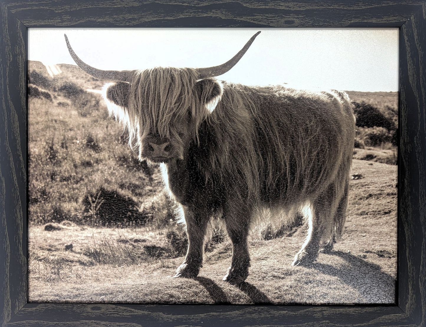 Sepia Highlander – Western Wall Art