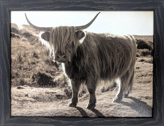 Sepia Highlander – Western Wall Art