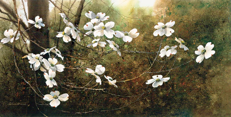 DOGWOOD