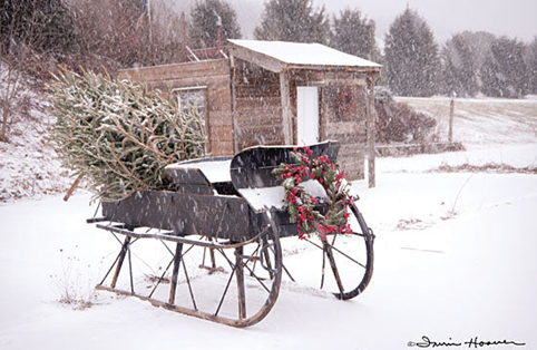 GRANDPA'S SLEIGH