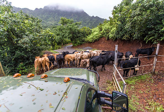 TRAFFIC JAM ON FRIDAY