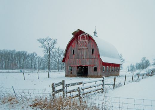 FRESH SNOW