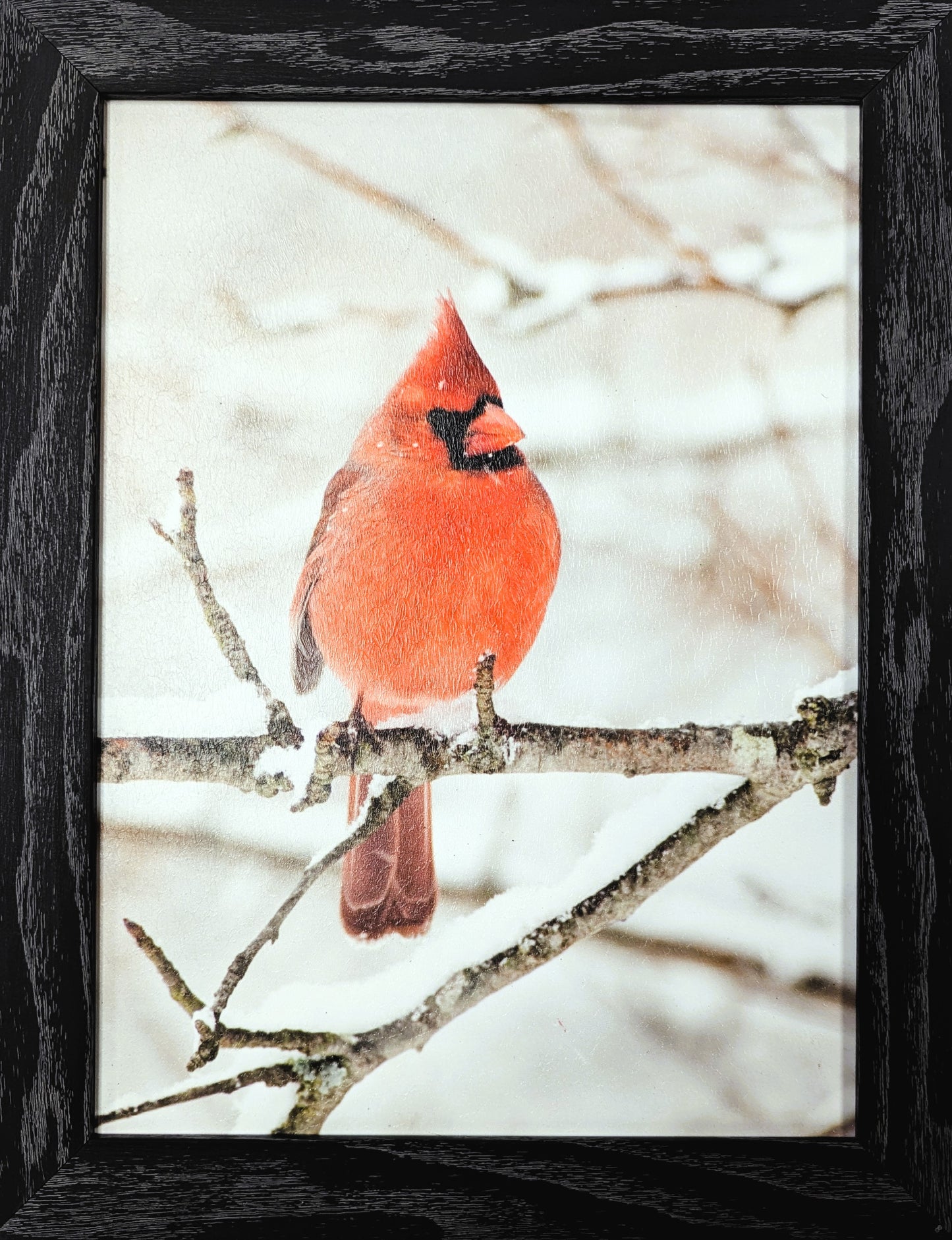 Cardinal On A Branch - Vintage Wall Art