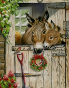 DONKEY CHRISTMAS