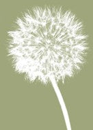 DANDELION (KHAKI)