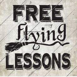 FREE FLYING LESSONS