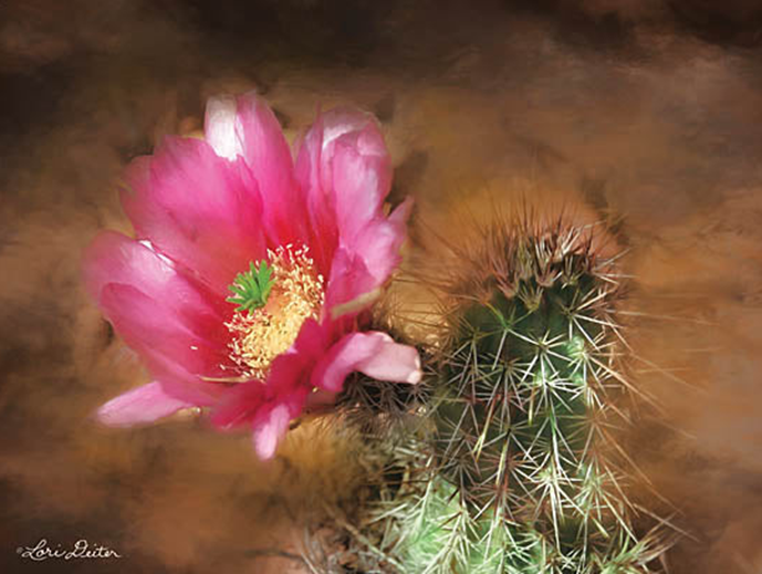 VIBRANT CACTUS FLOWER