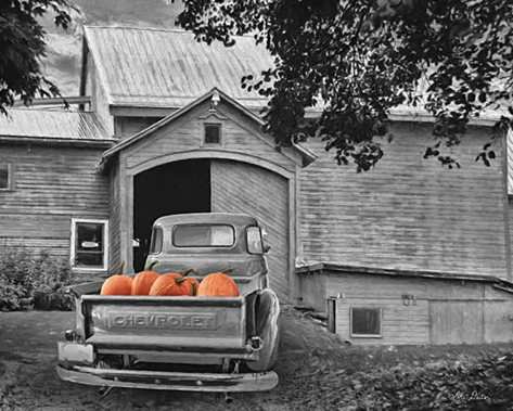 PUMPKINS IN BACK OF PICKUP