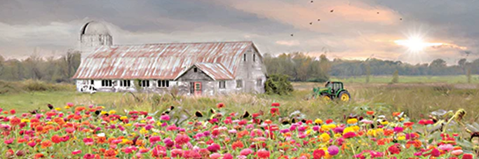 VERMONT COUNTRY MORNING