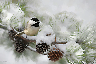 CHICKADEE IN SNOW