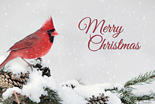 MERRY CHRISTMAS CARDINAL