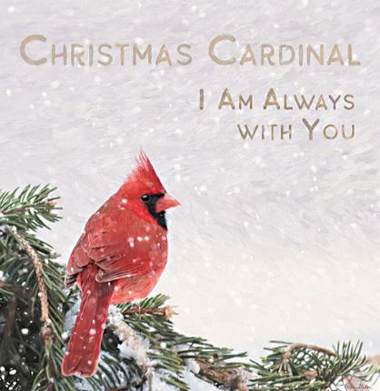 CHRISTMAS CARDINAL