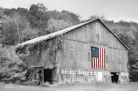 PATRIOTIC FARM II