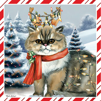 DECORATED GRUMPY CAT