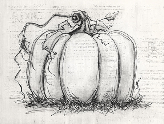 SKETCHY PUMPKIN