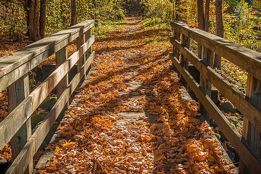 FALL ON THE BRIDGE