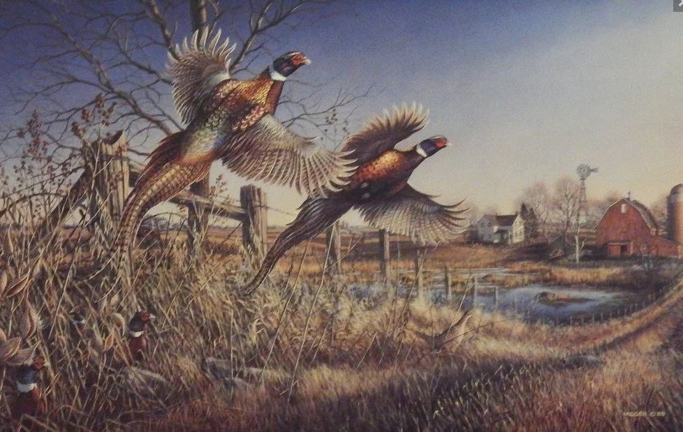 BOUNTIFUL HARVEST-PHEASANTS (STANS)