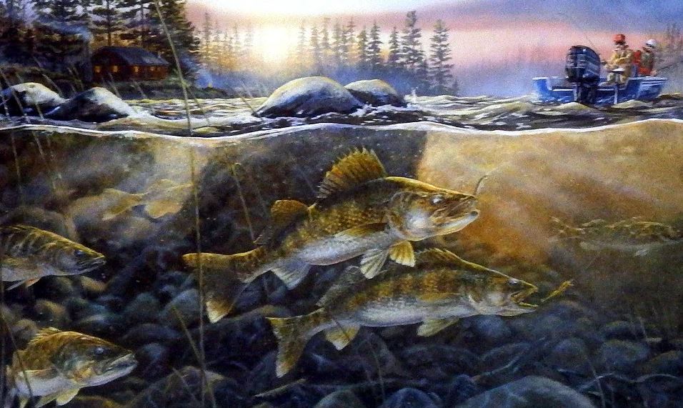 WALLEYES ON THE ROCKS BY TERRY DOUGHTY