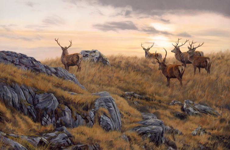 LOWERING SUN (RED DEER STAGS)