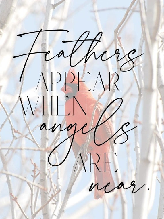 Framed artwork with text 'Feathers appear when angels are near' on a light background