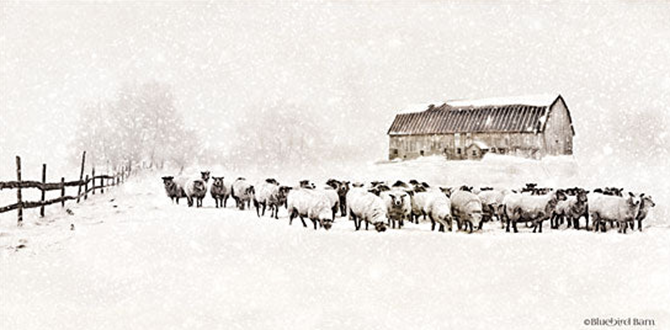Sheep by the Winter Barn – Christmas Wall Art